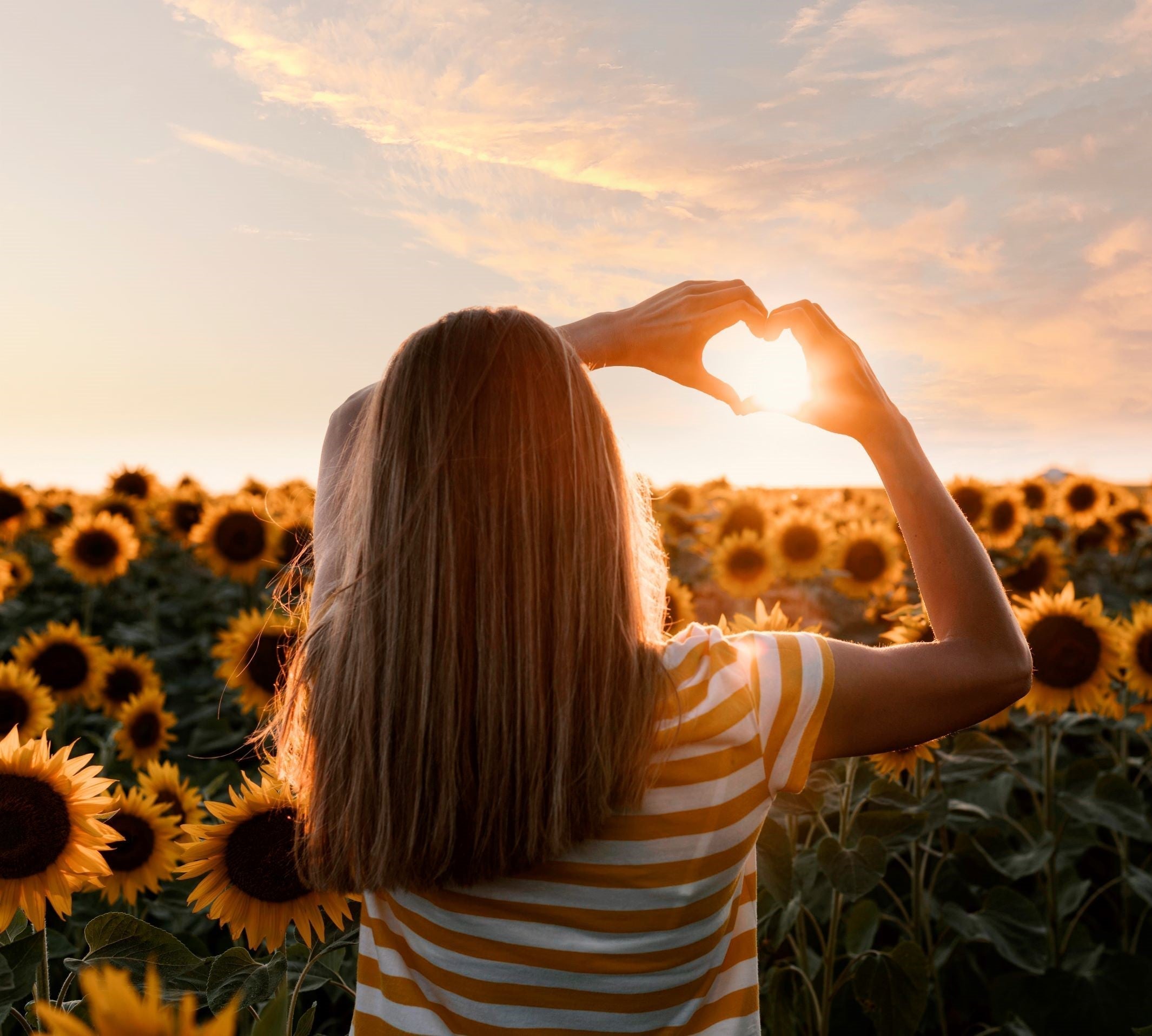 woman in sunflower field with sun shining through shaped hands