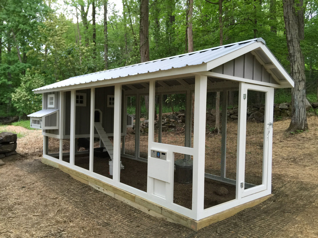 chicken coop run with automatic door