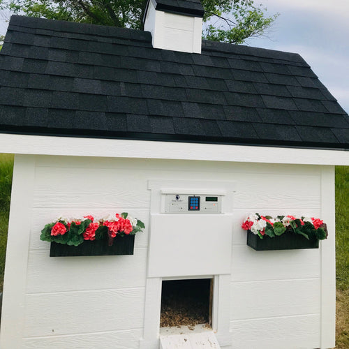 Automatic chicken coop door installed on white chicken coop.