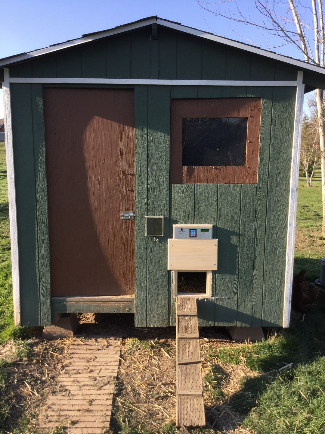 chicken coop with electric door opener