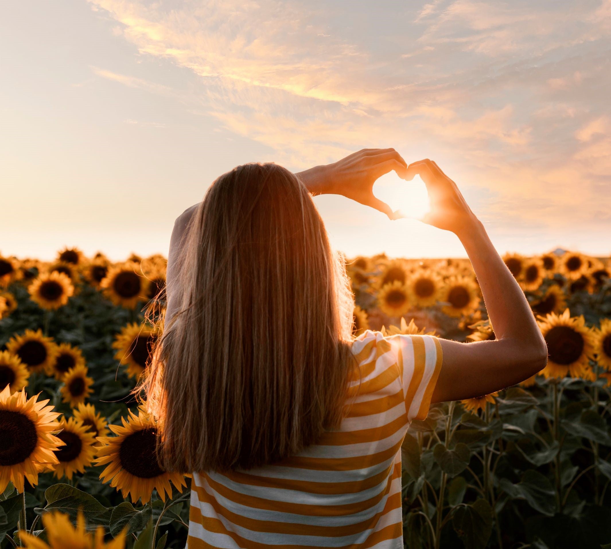 woman in sunflower field with sun shining through her hands