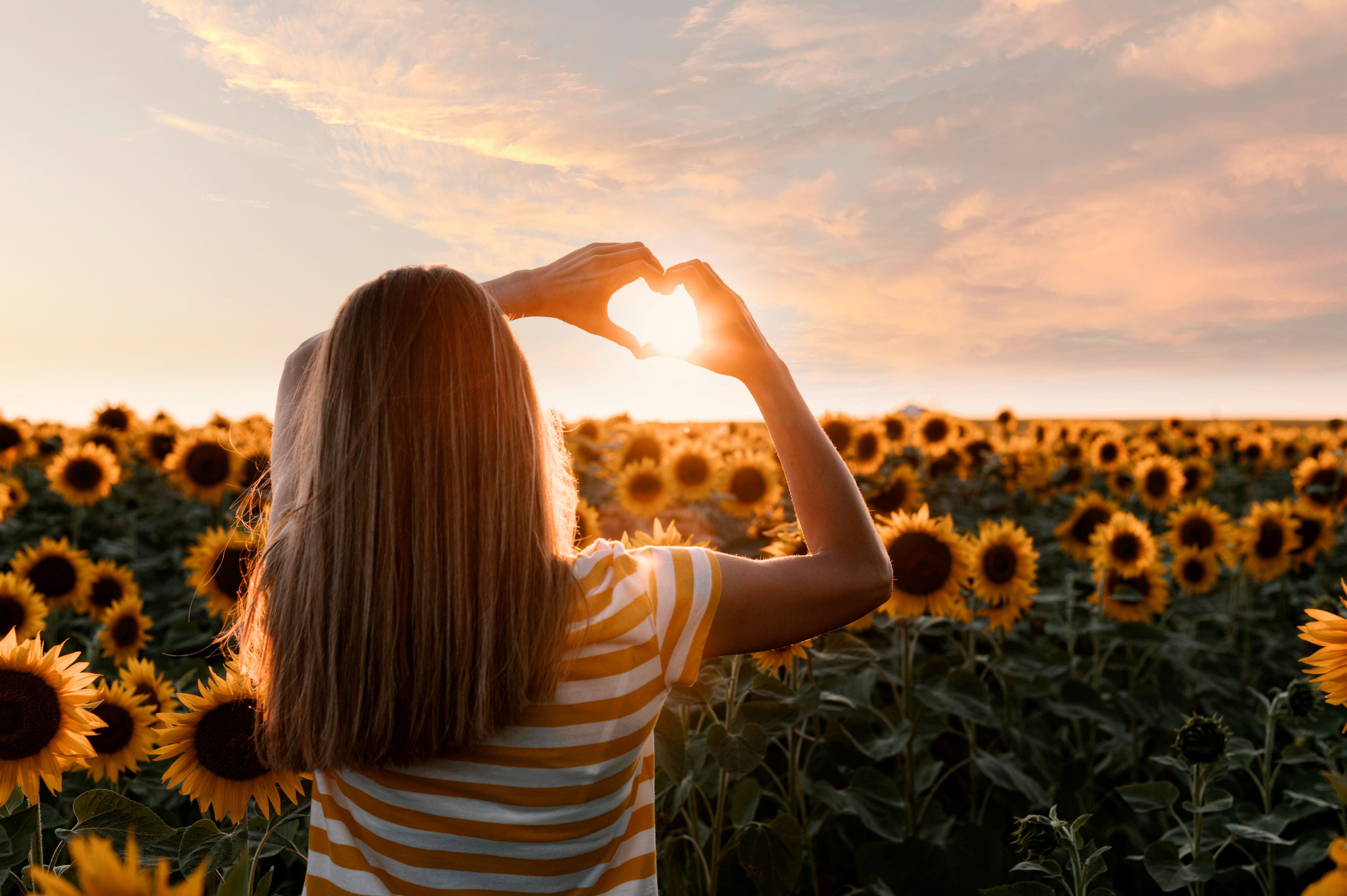 woman in sunflower field with sun shining through her hands