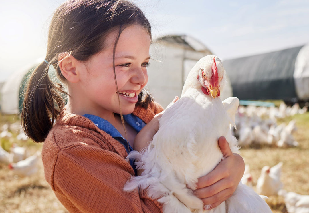Smiling girl holding a white chicken.