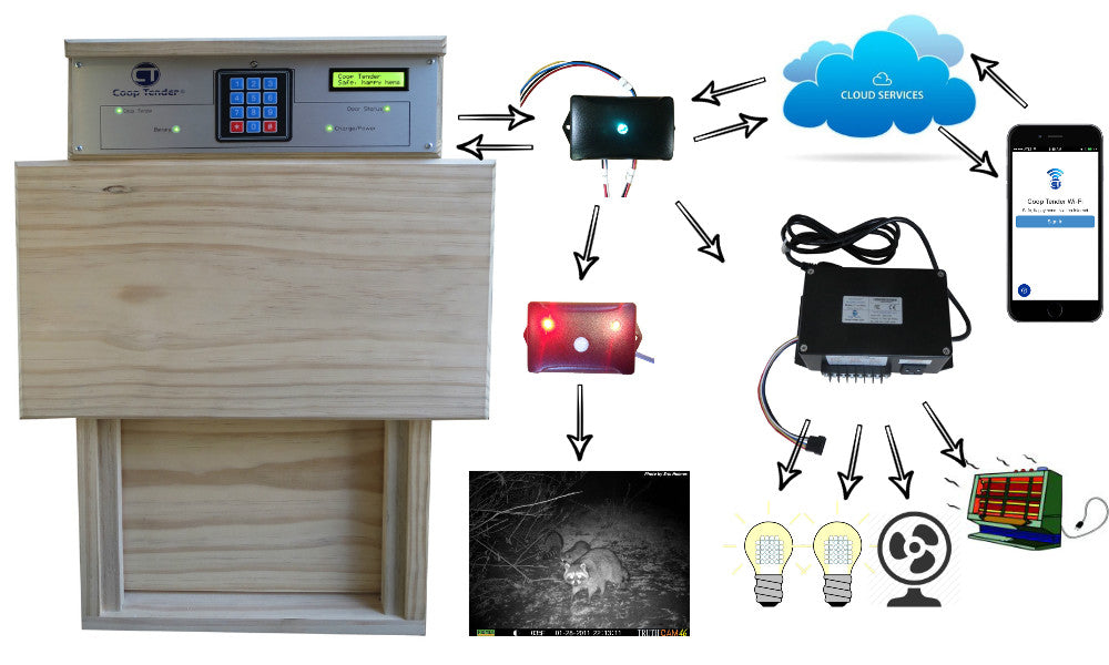 Automatic Chicken Coop Door | Coop Management Systems